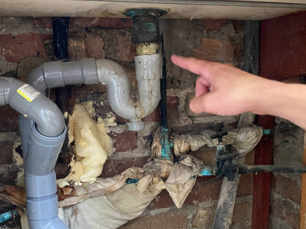 Best Basement water damage restoration  in Eufaula, OK